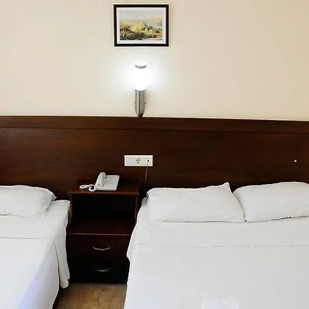 Palmeras Çamyuva