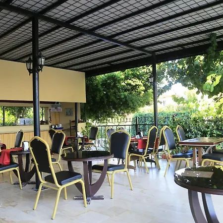 Palmeras 2*